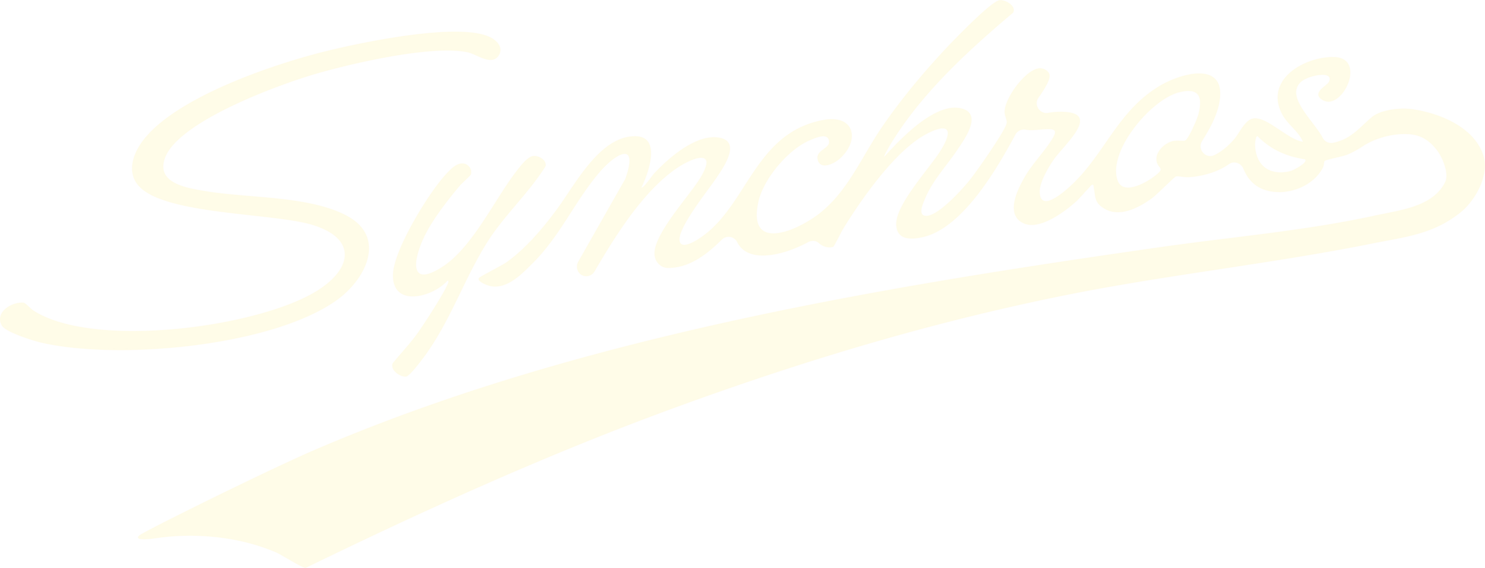 Synchros Coffee